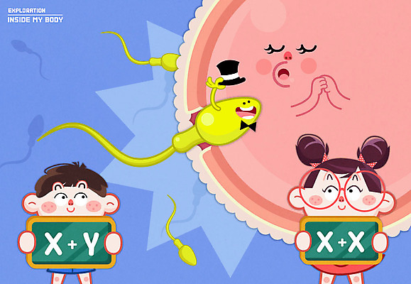 여자 남자 어린이 신체 일러스트 인체모형 두명 칠판 염색체 난자 국내일러스트 AI파일 정자세포 사람 모형 생명공학 생식세포 파일형식 벡터