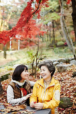 포토 JPG 주간 여자 노년 딸 40대 단풍 모녀 엄마 미소 앉기 상반신 성인 야외 두명 앞모습 화목 만지기 한국인 가을 가족라이프 60대 단풍놀이 여자만 아차산 국내포토 자연요소 라이프스타일 계절 뷰포인트 중년 컨셉 잎 가족 모션 산 서울 표정 사람 동양인 소풍 파일형식