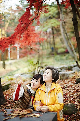 포토 JPG 주간 응시 여자 노년 딸 40대 단풍 벤치 모녀 엄마 앉기 상반신 성인 야외 두명 앞모습 화목 한국인 올려보기 가을 가리킴 가족라이프 60대 단풍놀이 여자만 아차산 국내포토 자연요소 라이프스타일 시선 계절 뷰포인트 중년 컨셉 잎 의자 가족 모션 산 서울 사람 동양인 손짓 소풍 파일형식