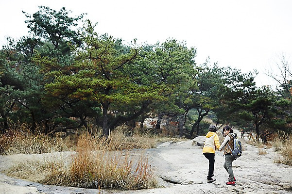 포토 JPG 주간 전신 나무 여자 노년 딸 40대 모녀 엄마 성인 야외 두명 뒷모습 걷기 손잡기 등산 한국인 가을 바위 가족라이프 뒤돌아보기 60대 오르기 여자만 아차산 국내포토 자연요소 식물 라이프스타일 계절 뷰포인트 중년 가족 모션 산 서울 사람 동양인 트래킹 돌_바위 파일형식