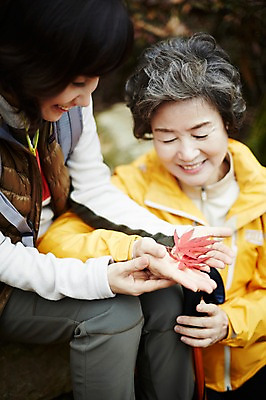 포토 JPG 주간 여자 노년 딸 40대 단풍 모녀 엄마 미소 들기 앉기 상반신 성인 야외 두명 앞모습 화목 한국인 가을 가족라이프 60대 단풍놀이 여자만 아차산 국내포토 자연요소 라이프스타일 계절 뷰포인트 중년 컨셉 잎 가족 모션 산 서울 표정 사람 동양인 소풍 파일형식