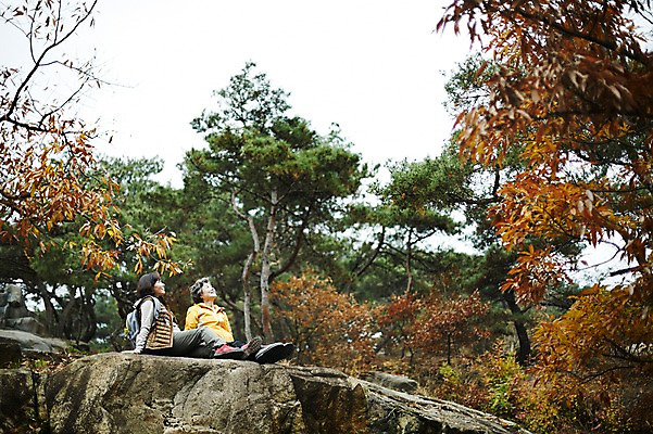 포토 JPG 주간 전신 응시 여자 노년 딸 40대 단풍 단풍나무 모녀 엄마 미소 앉기 성인 야외 두명 옆모습 화목 등산 한국인 올려보기 가을 바위 가족라이프 60대 단풍놀이 여자만 아차산 국내포토 자연요소 나무 라이프스타일 시선 계절 뷰포인트 중년 컨셉 잎 가족 모션 산 서울 표정 사람 동양인 소풍 트래킹 돌_바위 파일형식