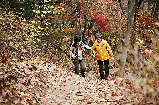 포토 JPG 주간 전신 여자 노년 딸 40대 단풍 단풍나무 모녀 엄마 성인 야외 두명 앞모습 걷기 화목 등산 한국인 가을 가족라이프 60대 오르기 단풍놀이 여자만 아차산 국내포토 자연요소 나무 라이프스타일 계절 뷰포인트 중년 컨셉 잎 가족 모션 산 서울 사람 동양인 소풍 트래킹 파일형식
