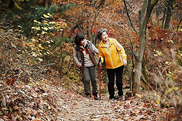 포토 JPG 주간 전신 응시 여자 노년 딸 40대 단풍 단풍나무 모녀 엄마 미소 성인 야외 두명 앞모습 걷기 화목 등산 한국인 가을 가족라이프 60대 오르기 단풍놀이 여자만 아차산 국내포토 자연요소 나무 라이프스타일 시선 계절 뷰포인트 중년 컨셉 잎 가족 모션 산 서울 표정 사람 동양인 소풍 트래킹 파일형식