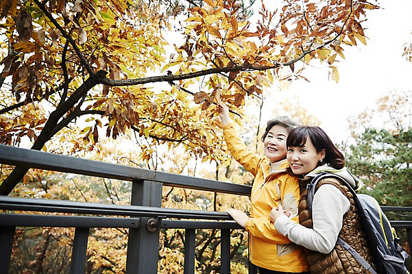 포토 JPG 주간 여자 노년 딸 40대 단풍 단풍나무 모녀 엄마 서기 미소 상반신 성인 야외 두명 옆모습 화목 등산 만지기 한국인 가을 가족라이프 60대 단풍놀이 여자만 아차산 국내포토 자연요소 나무 라이프스타일 계절 뷰포인트 중년 컨셉 잎 가족 모션 산 서울 표정 사람 동양인 소풍 트래킹 파일형식