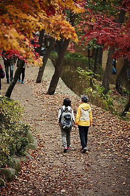 포토 JPG 주간 전신 여자 노년 딸 40대 단풍 낙엽 단풍나무 모녀 엄마 성인 야외 두명 뒷모습 걷기 손잡기 다정 등산 한국인 가을 가족라이프 60대 단풍놀이 여자만 아차산 국내포토 자연요소 나무 라이프스타일 계절 뷰포인트 중년 컨셉 잎 가족 모션 산 서울 사람 동양인 소풍 트래킹 파일형식
