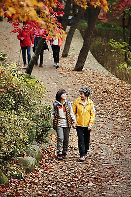 포토 JPG 주간 전신 여자 노년 딸 40대 단풍 단풍나무 모녀 엄마 성인 야외 두명 앞모습 걷기 손잡기 화목 다정 등산 한국인 가을 가족라이프 60대 등산객 단풍놀이 여자만 아차산 국내포토 자연요소 나무 라이프스타일 계절 뷰포인트 중년 컨셉 잎 가족 모션 산 서울 사람 동양인 소풍 트래킹 파일형식