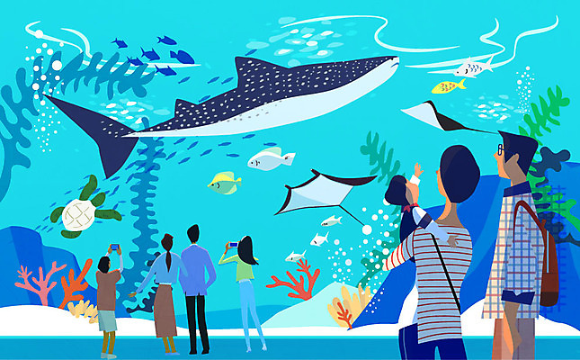 여자 남자 어린이 여행 일러스트 가족 어류 여러명 성인 산호초 거북이 상어 관람 가오리 아쿠아리움 국내일러스트 AI파일 다수 관계 파충류 사람 수중동물 수중식물 수족관 파일형식 벡터