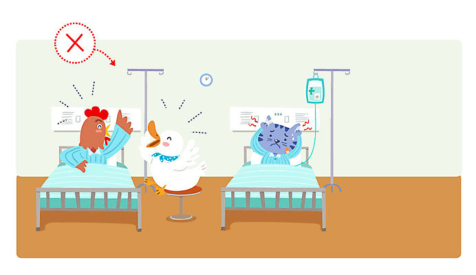 동물 일러스트 오리 실내 병원 사람없음 고양이 예절 닭 링거 시끄러움 수다 소음 병실 링거걸이 병문안 병원침대 국내일러스트 AI파일 포유류 의학 의료기기 조류 대화 내부 반려동물 소리 침대 파일형식 벡터