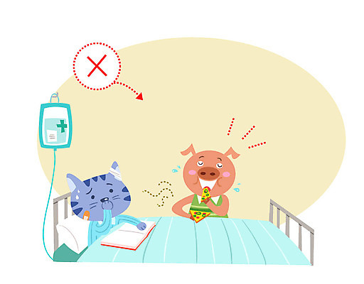 동물 일러스트 피자 실내 병원 사람없음 책 고양이 예절 돼지 링거 먹기 냄새 병실 링거걸이 병문안 병원침대 국내일러스트 AI파일 포유류 의학 의료기기 모션 패스트푸드 서양음식 내부 반려동물 침대 파일형식 벡터