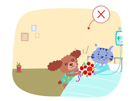 동물 꽃다발 일러스트 실내 병원 사람없음 고양이 예절 강아지 링거 병실 링거걸이 병문안 병원침대 국내일러스트 AI파일 꽃 포유류 의학 의료기기 내부 반려동물 침대 개 파일형식 벡터