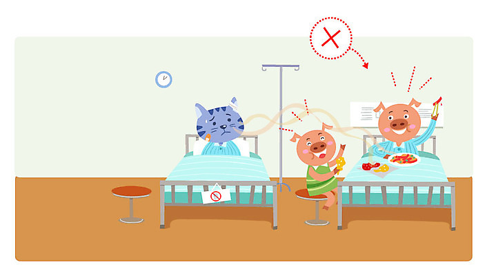 동물 음식 의자 일러스트 실내 병원 사람없음 고양이 예절 돼지 먹기 냄새 병실 링거걸이 병문안 병원침대 국내일러스트 AI파일 가구 포유류 의학 모션 내부 반려동물 침대 파일형식 벡터