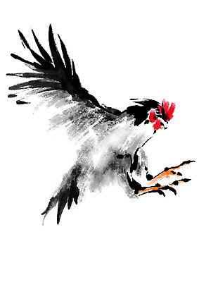 PSD 한마리 일러스트 캘리그라피 사람없음 수탉 국내일러스트 1 닭 수컷 파일형식