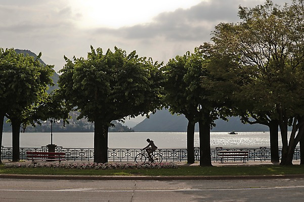 포토 JPG 주간 나무 해외풍경 실루엣 도로 한명 풍경 성인 야외 자전거 보행자 스위스 국내포토 자연요소 식물 1 해외 유럽 길 교통시설 촬영기법 사람 바이크 파일형식