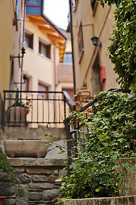 포토 JPG 주간 해외풍경 주택 풍경 사람없음 야외 아웃포커스 마을 풀잎 스위스 국내포토 자연요소 해외 유럽 잎 촬영기법 건물 풀_식물 파일형식