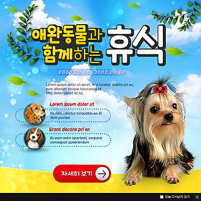 PSD 구름 템플릿 웹템플릿 휴식 나뭇잎 팝업 이벤트팝업 웹팝업 사람없음 반려동물 강아지 요크셔테리어 힐링 반려 이미지템플릿 자연요소 동물 컨셉 잎 개 테리어 파일형식