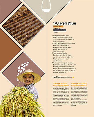 PSD 템플릿 편집 표지디자인 북디자인 출판디자인 남자 내지 리플렛 40대 2단접지 북커버 논 한명 웃음 팜플렛 상반신 성인 농사 한국인 수확 벼 농부 밀짚모자 이미지템플릿 직업 모자_잡화 1 중년 농업 곡류 표정 사람 동양인 파일형식