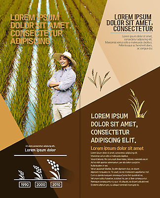 PSD 템플릿 편집 표지디자인 북디자인 출판디자인 남자 내지 리플렛 40대 2단접지 북커버 논 한명 웃음 팜플렛 상반신 성인 팔짱 농사 한국인 벼 농부 밀짚모자 이미지템플릿 직업 모자_잡화 1 중년 농업 모션 곡류 표정 사람 동양인 파일형식