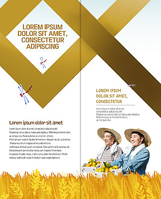 PSD 템플릿 편집 표지디자인 북디자인 출판디자인 남자 내지 리플렛 40대 2단접지 북커버 귤 웃음 팜플렛 상반신 성인 두명 옆모습 수건 농사 한국인 수확 벼 60대 농부 밀짚모자 고추잠자리 부자지간 이미지템플릿 직업 모자_잡화 노년 아들 뷰포인트 중년 농업 과일 가족 곡류 표정 사람 동양인 위생용품 아빠 잠자리 파일형식