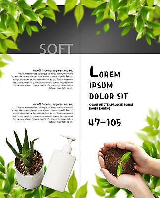 PSD 템플릿 편집 우먼라이프 표지디자인 북디자인 출판디자인 내지 화분 리플렛 2단접지 북커버 나뭇잎 팜플렛 신체부위 뷰티 새싹 흙 양손 샴푸병 샴푸용기 이미지템플릿 식물 라이프스타일 손 잎 사람 용기_그릇 샴푸 파일형식