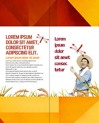 PSD 템플릿 편집 표지디자인 북디자인 출판디자인 남자 내지 리플렛 2단접지 북커버 한명 웃음 팜플렛 상반신 성인 30대 수건 농사 한국인 수확 벼 가을 농부 밀짚모자 이삭 고추잠자리 이미지템플릿 직업 모자_잡화 1 계절 농업 곡류 표정 사람 동양인 장년 위생용품 잠자리 파일형식