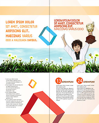 PSD 템플릿 편집 표지디자인 북디자인 출판디자인 남자 꽃 내지 어린이 리플렛 스포츠 2단접지 북커버 한명 들기 팜플렛 상반신 운동 만세 한국인 우승 트로피 태권도 태권도복 이미지템플릿 식물 1 모션 건강 도복 사람 동양인 격투기 최고 상_우승 파일형식