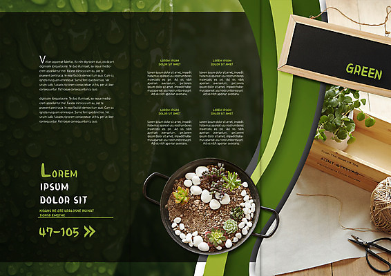 PSD 템플릿 편집 표지디자인 북디자인 출판디자인 내지 화분 리플렛 잎 북커버 3단접지 가위 팜플렛 사람없음 칠판 돌_바위 냄비 이슬 원예 다육식물 이미지템플릿 식물 문구용품 취미 솥 파일형식