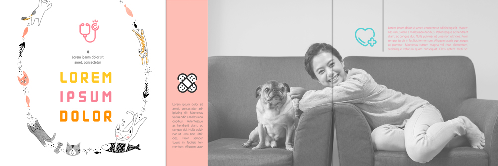 PSD 템플릿 편집 라이프스타일 표지디자인 북디자인 출판디자인 여자 내지 리플렛 북커버 3단접지 한명 웃음 앉기 팜플렛 20대 성인 반려동물 소파 고양이 한국인 반창고 개 반려 이미지템플릿 동물 1 의자 포유류 모션 표정 사람 동양인 청년 생활 의료용품 파일형식