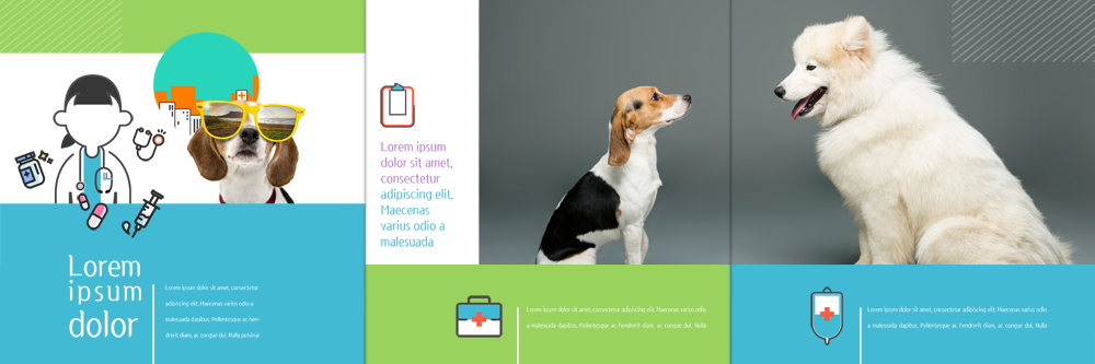 PSD 템플릿 편집 라이프스타일 표지디자인 북디자인 출판디자인 여자 내지 리플렛 북커버 3단접지 한명 팜플렛 성인 선글라스 개 구급상자 링거 비글 사모예드 동물병원 수의사 반려 이미지템플릿 1 안경 포유류 의료기기 병원 사람 생활 의사 의료용품 파일형식