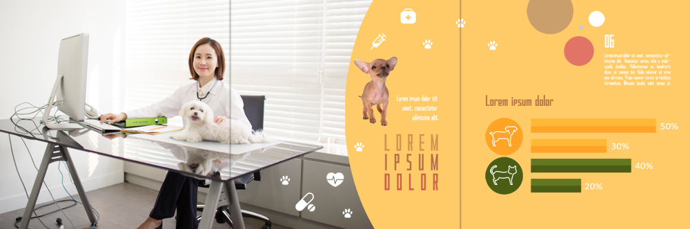 PSD 템플릿 편집 라이프스타일 표지디자인 북디자인 출판디자인 여자 내지 리플렛 북커버 3단접지 한명 앉기 팜플렛 성인 30대 컴퓨터 한국인 개 책상 치와와 동물병원 수의사 반려 이미지템플릿 1 가구 포유류 모션 병원 사람 동양인 생활 장년 전자제품 의사 파일형식