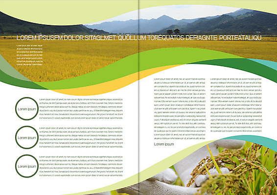 템플릿 편집 표지디자인 북디자인 손 출판디자인 내지 리플렛 북커버 자연 산 논 팜플렛 농사 수확 벼 농부 이삭 목장갑 이미지템플릿 AI파일 직업 장갑 농업 곡류 신체부위 생태계 파일형식 벡터