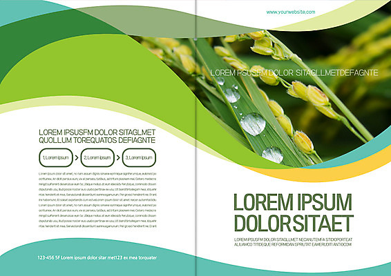 템플릿 편집 표지디자인 북디자인 출판디자인 표지 리플렛 북커버 자연 팜플렛 사람없음 벼 풀잎 이슬 이삭 이미지템플릿 AI파일 잎 곡류 풀_식물 생태계 파일형식 벡터