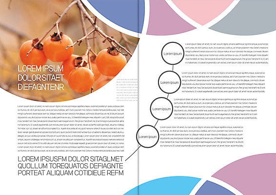 템플릿 편집 표지디자인 북디자인 출판디자인 열매 내지 리플렛 북커버 자연 감 팜플렛 사람없음 가을 나뭇가지 감나무 이미지템플릿 AI파일 나무 식물 계절 과일 생태계 파일형식 벡터