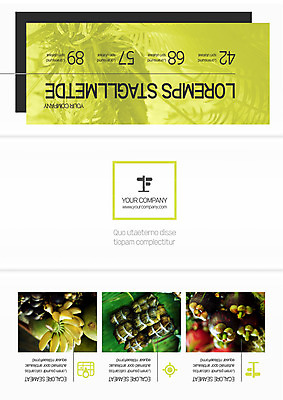 템플릿 편집 표지디자인 북디자인 출판디자인 표지 리플렛 여행 북커버 3단접지 바나나 팜플렛 사람없음 야자수 열대과일 이미지템플릿 AI파일 나무 과일 파일형식 벡터