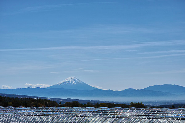 포토 JPG 주간 구름 자연 하늘 풍경 사람없음 야외 일본 비닐하우스 후지산 국내포토 자연요소 아시아 농업 산 세계문화유산 생태계 파일형식