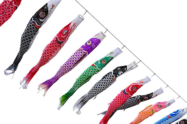 포토 JPG 일본문화 사람없음 일본 축제 깃발 일본전통 잉어 고이노보리 물고기모양 국내포토 동양문화 전통 문양 아시아 외국문화 어류 파일형식