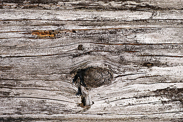 포토 JPG 나무 백그라운드 사람없음 목재 나뭇결 빈티지 국내포토 식물 컨셉 재료 파일형식