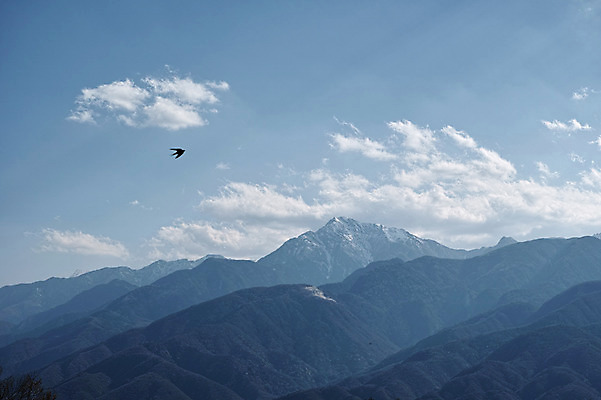 포토 JPG 주간 구름 자연 조류 하늘 산 풍경 사람없음 야외 미나미알프스 국내포토 자연요소 동물 일본 생태계 파일형식
