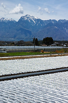 포토 JPG 주간 구름 밭 자연 하늘 산 풍경 사람없음 야외 미나미알프스 국내포토 자연요소 농업 일본 생태계 파일형식
