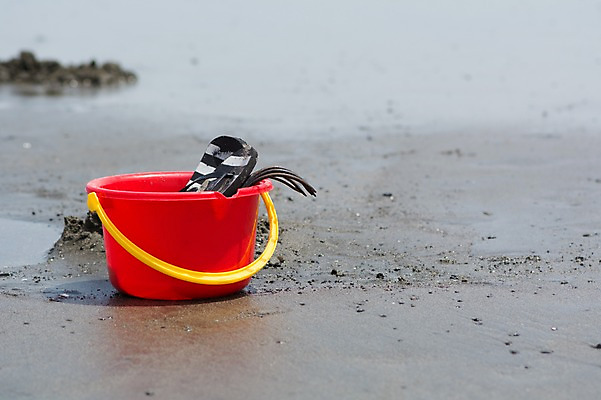 포토 JPG 주간 해변 사람없음 야외 쪼리 양동이 오브젝트 플라스틱통 국내포토 자연요소 바다 통 샌들 플라스틱 파일형식