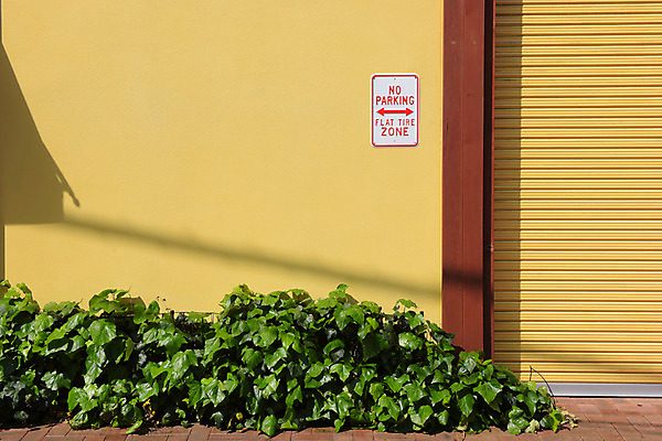 포토 JPG 주간 벽 백그라운드 거리 사람없음 야외 표지판 덩굴 셔터 주차금지 국내포토 자연요소 식물 알림판 금지 파일형식