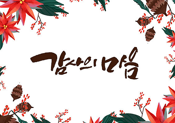 PSD 꽃 일러스트 캘리그라피 글자캘리그라피 한글 사람없음 감사 솔방울 국내일러스트 식물 문자 감정 파일형식