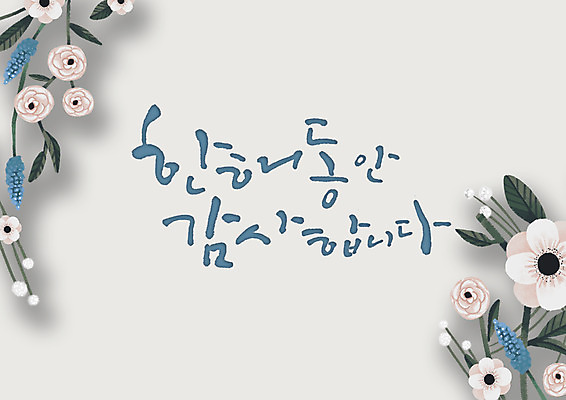 PSD 꽃 일러스트 캘리그라피 글자캘리그라피 사람없음 감사 국내일러스트 식물 감정 파일형식
