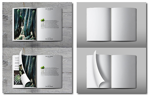PSD 편집 편집이미지 종이 선인장 사람없음 책 잡지 알림 홍보물 기업홍보 목업 플랫레이 브랜딩 이미지편집 식물 간행물 플랫 파일형식