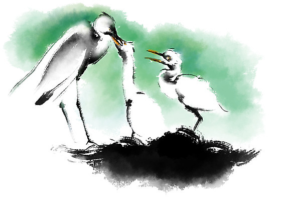 PSD 일러스트 캘리그라피 붓터치 세마리 사람없음 둥지 먹여주기 모이주기 국내일러스트 3 먹기 파일형식