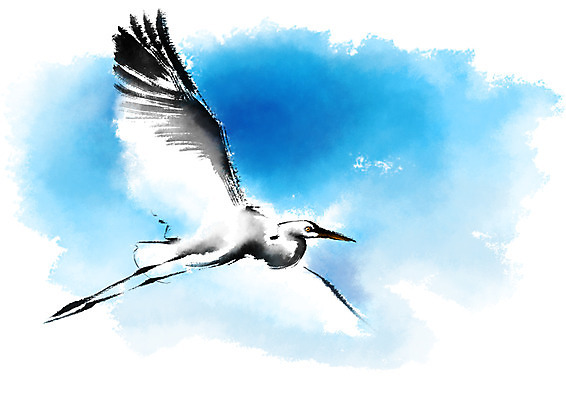 PSD 한마리 일러스트 캘리그라피 하늘 붓터치 사람없음 비행 국내일러스트 1 파일형식