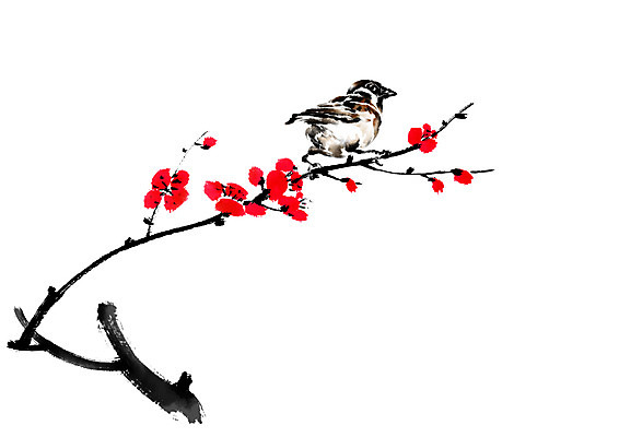 PSD 한마리 일러스트 캘리그라피 붓터치 사람없음 매화 참새 매화나무 국내일러스트 나무 1 꽃 조류 파일형식