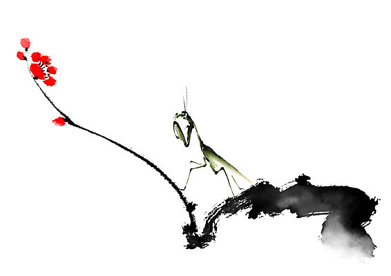 PSD 일러스트 캘리그라피 붓터치 사람없음 매화나무 사마귀 홍매화 국내일러스트 나무 곤충 매화 파일형식