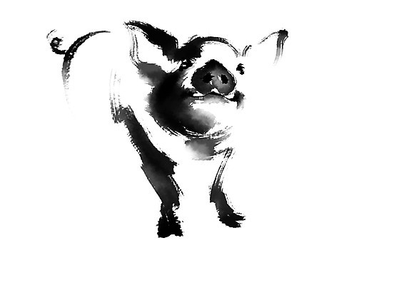 PSD 한마리 일러스트 캘리그라피 붓터치 사람없음 흑돼지 국내일러스트 1 돼지 파일형식