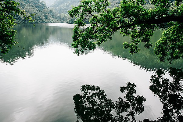 포토 JPG 주간 나무 해외풍경 호수 사람없음 야외 대만 국내포토 자연요소 식물 해외 아시아 풍경 파일형식